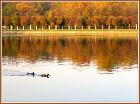 Осенняя прогулка