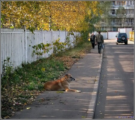 А у нас все спокойно