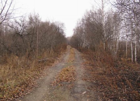 Дорога в осень