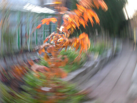 осеннее, без названия №1