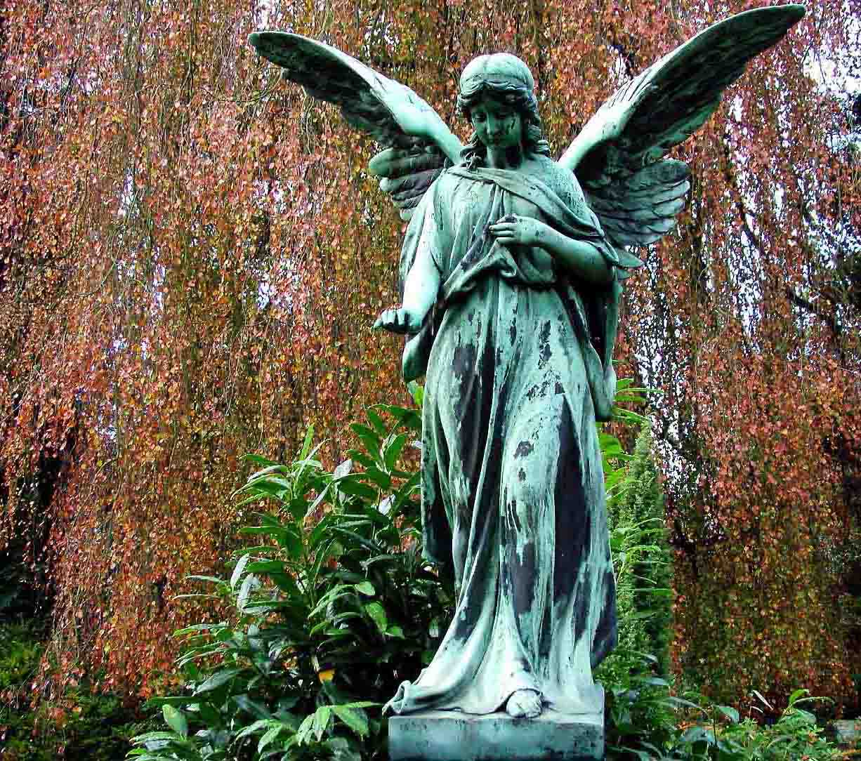angel