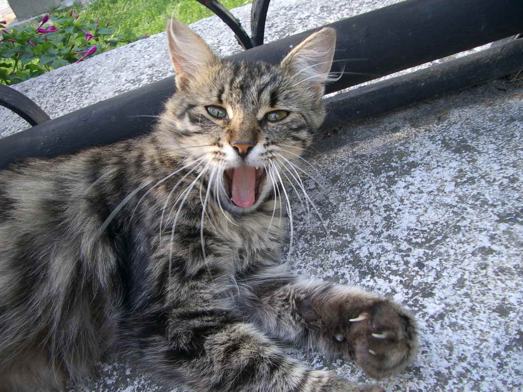 Hi...
