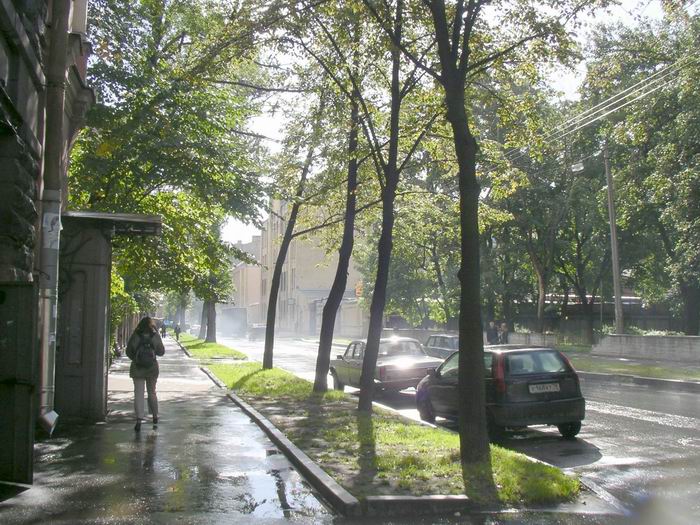 Ах эти летние дожди.