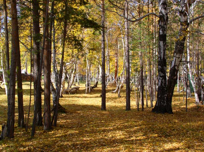 Осеннее настроение. Этюд