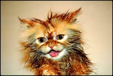 Когда-то я был странной, игрушкой безымянной