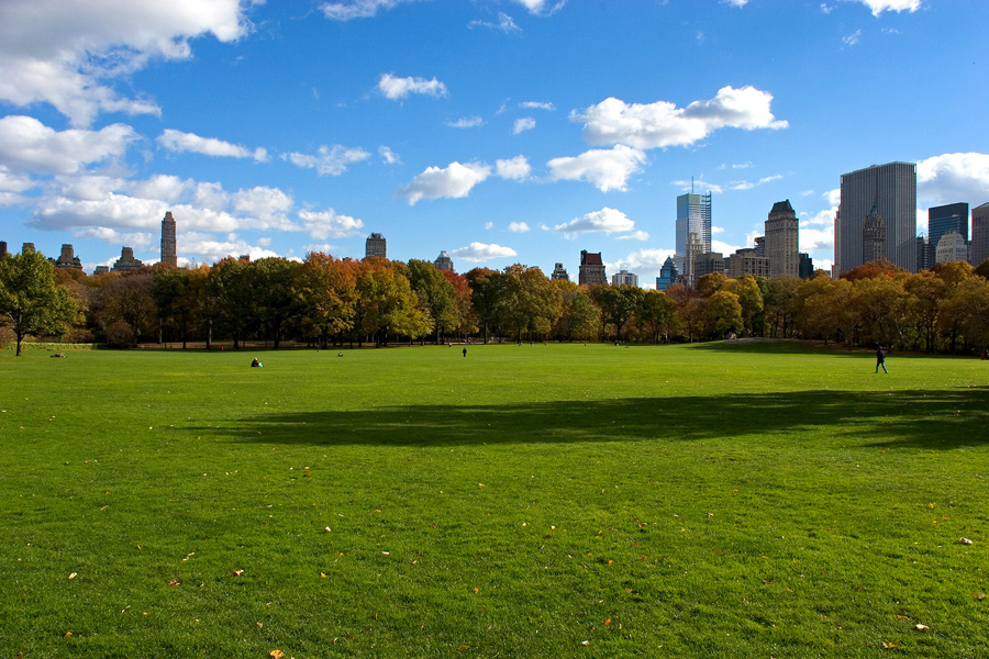 Sheep Meadow in Central Park