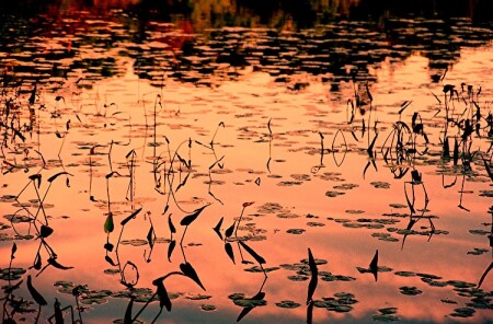 Осенний Вечер