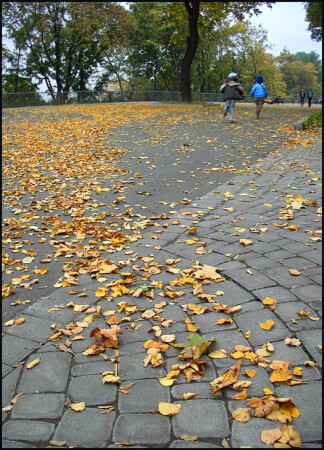 В осень