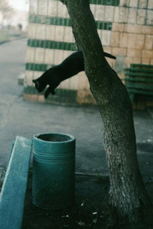 PUMA (репост)