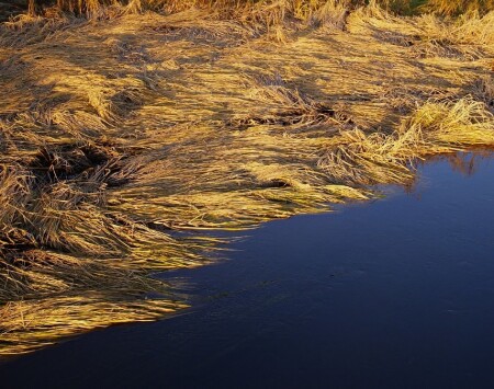 Цвета осени-5