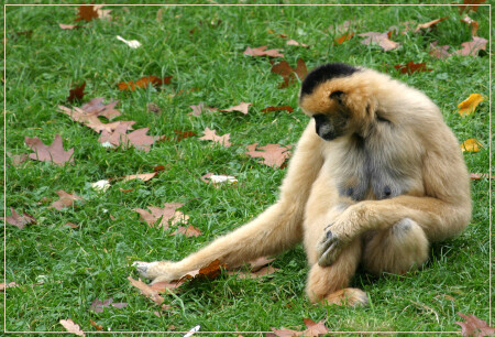 и еще одна осень...