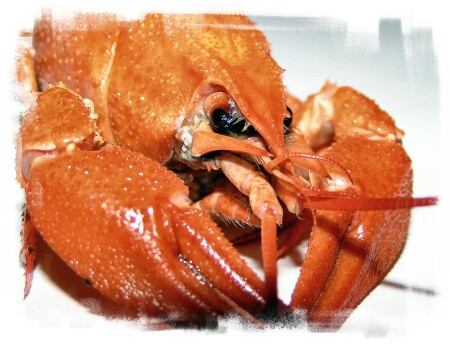 Закуска к пиву