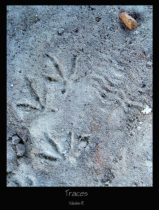 Traces