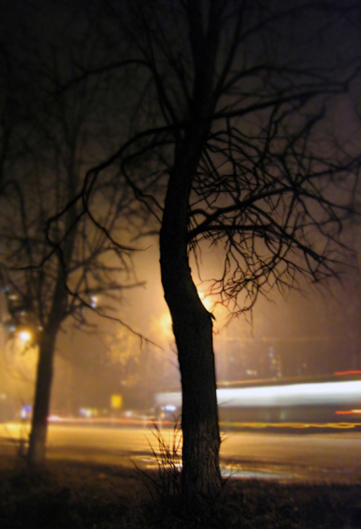  Автобус и The tree in Smoke
