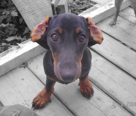 А что это такое интересное?