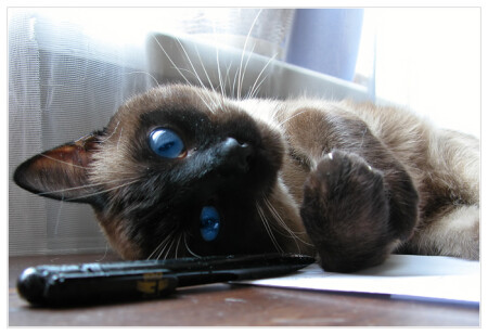 blue eyes