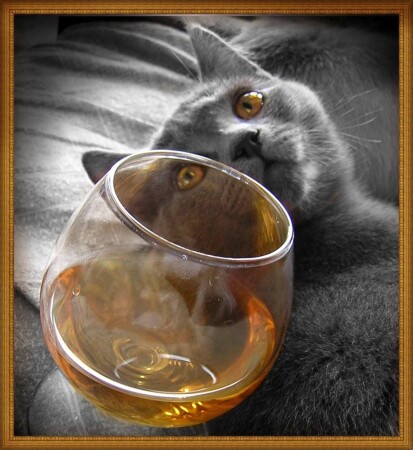 Вероятность 