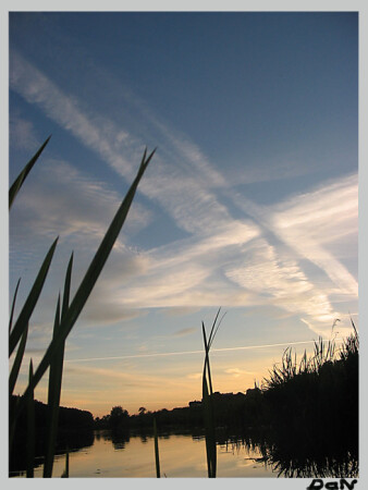 Разные линии