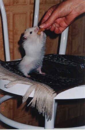 Что у тебя вкусненькое?