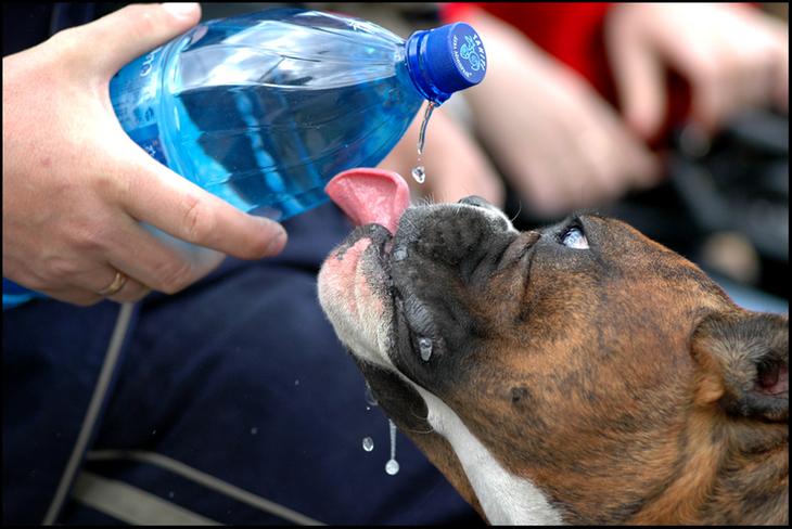 ...воды!!!...:)