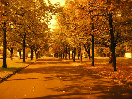 ... про осень...