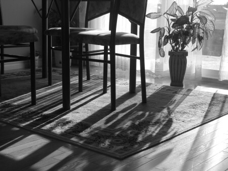 shadows