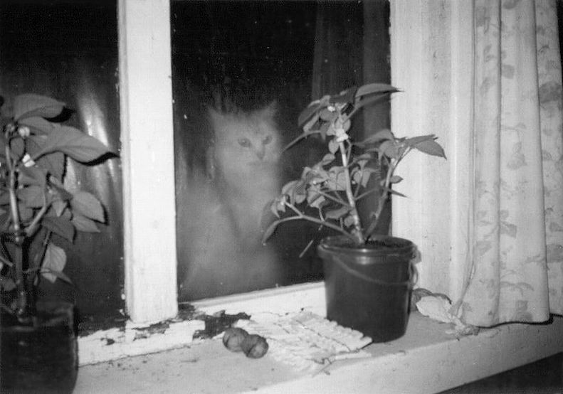 ...ghost...
