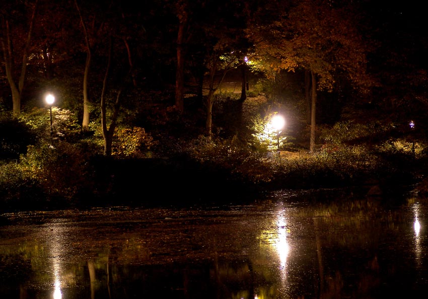 Вечерний Central Park