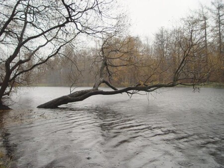 water deep