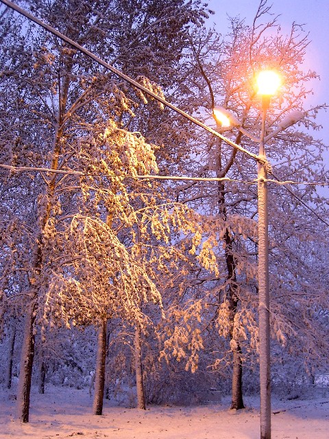 Первый снег