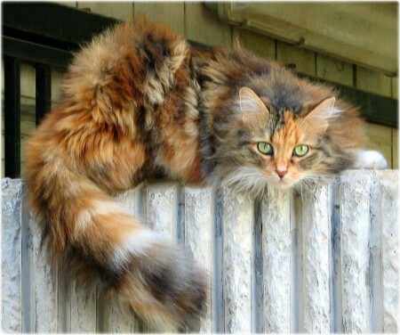 Ты мене каким G снимаешь? 