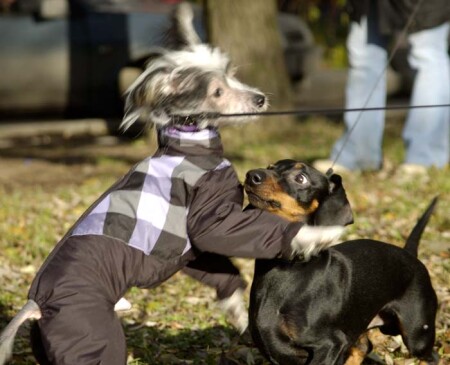 Знакомство