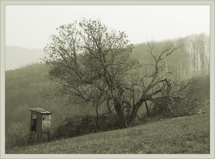 Half-Life