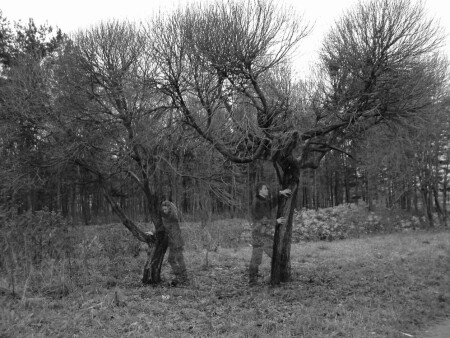 Гражданская война