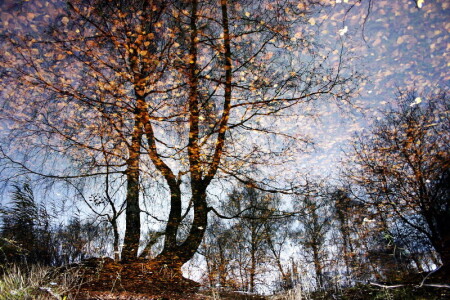 Мир наоборот