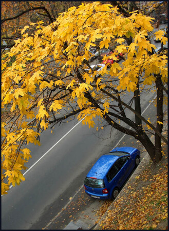 Осеннее авто
