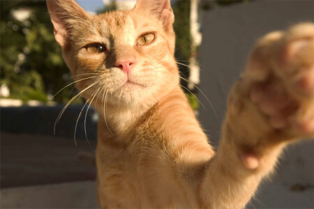 Не снимайте меня!