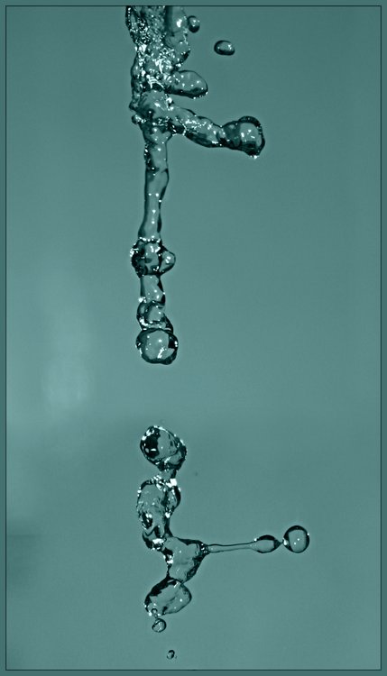 из жизни водяных