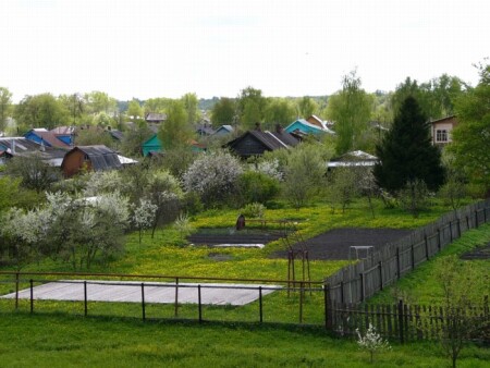 И в деревне играют в БАСКЕТБОЛ!