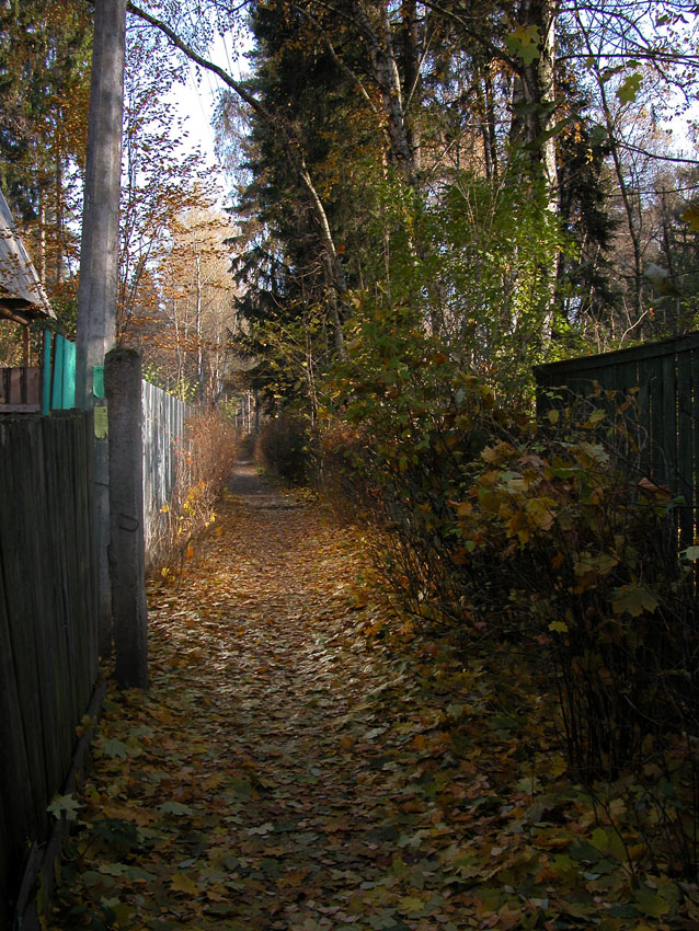 Домой