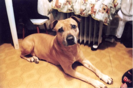 -ну фотографируй же!!