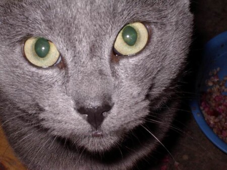 Мой мужчина