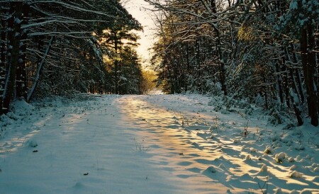 Последний Луч