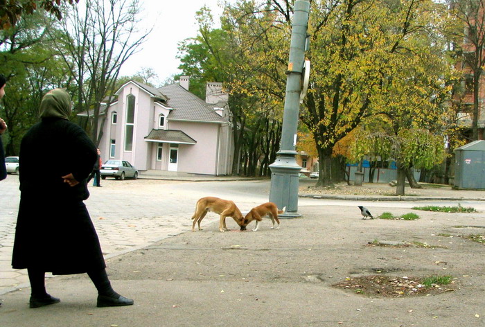  Делаем ставки, Господа..