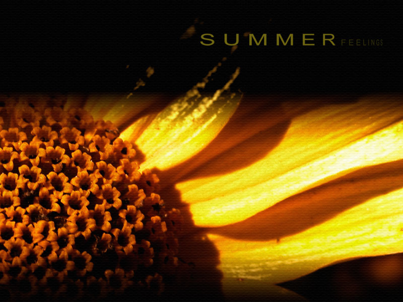 SUMMER FEELINGS
