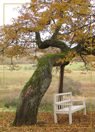 скамья Онегина