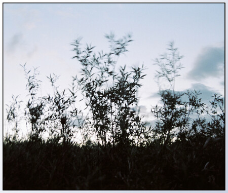 only light wind