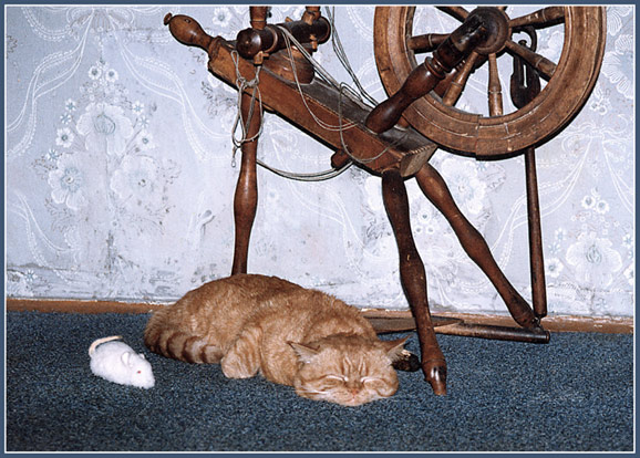 &quot;Отстань! Меня Whiskas кормят!&quot;