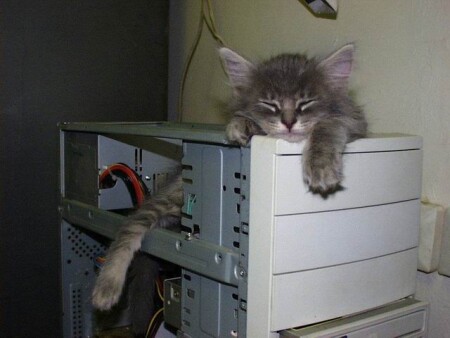 Компьютерный девайс в режиме Sleep.