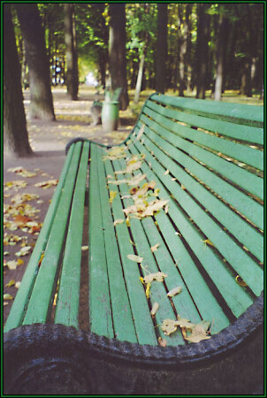 осень в летнем